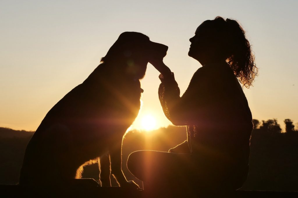 Dieses Bild hat ein leeres Alt-Attribut. Der Dateiname ist hund-und-besitzer-1024x683.jpg